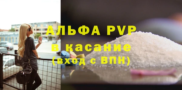 гашик Богданович