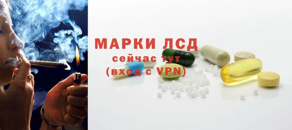 гашик Богданович