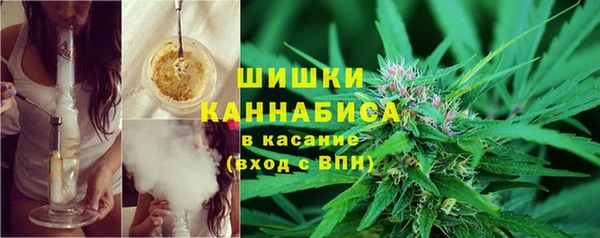 PSILOCYBIN Беломорск