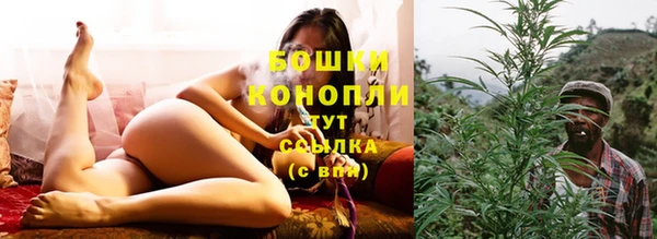 PSILOCYBIN Беломорск