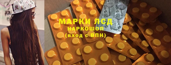 гашик Богданович