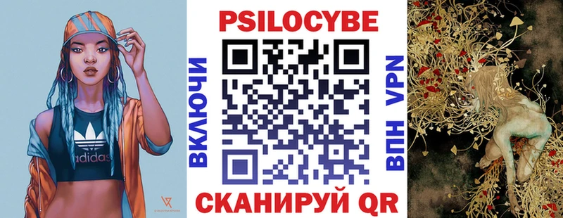 Псилоцибиновые грибы прущие грибы  купить наркотики сайты  Свободный 